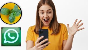 Qué es y cómo activar el modo menta de WhatsApp. Qué es y cómo activar el modo menta de WhatsApp.