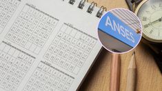 ANSES dio detalles sobre las fechas de cobro del bono de $55.000. ANSES dio detalles sobre las fechas de cobro del bono de $55.000.