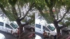 El cuidacohes fue demorado por la Policía. El cuidacohes fue demorado por la Policía.