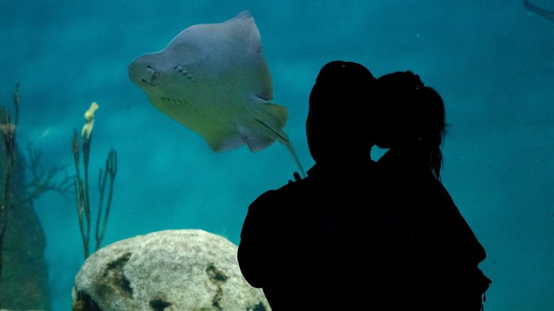 El parque protege especies amenazadas, especialmente a las autóctonas de la Argentina.