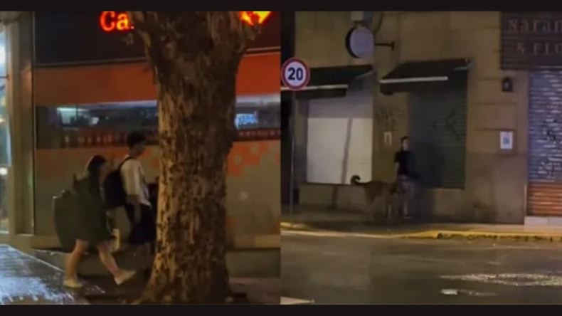 Conocé más sobre los videos que son tendencia esta semana