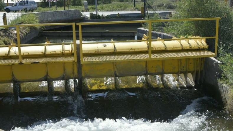 Tres jóvenes murieron ahogados en un canal de riego en Mendoza