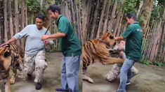 Las impresionantes imágenes se volvieron virales. Las impresionantes imágenes se volvieron virales.