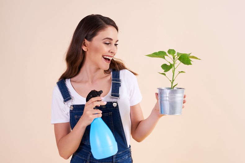 Con pocas acciones podés hacer más duraderas las plantas de tu hogar.