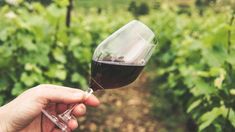 Las bodegas son cada vez más eficientes gracias a la Inteligencia Artificial.