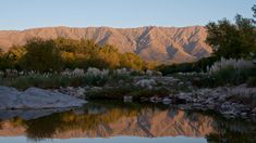 Este destino combina tranquilidad, ambiente acogedor y una fuerte identidad cordobesa. Este destino combina tranquilidad, ambiente acogedor y una fuerte identidad cordobesa.