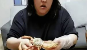 Pan Xiaoting tenía 24 años.