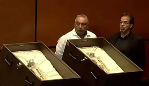 Argentina estuvo presente en la audiencia pública desde las organizaciones como CEFORA y ALAS.&nbsp;