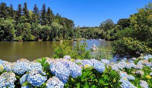 Este rincón mágico del sur de Brasil mezcla la experiencia de una ciudad europea con la calidez latinoamericana. Este rincón mágico del sur de Brasil mezcla la experiencia de una ciudad europea con la calidez latinoamericana.