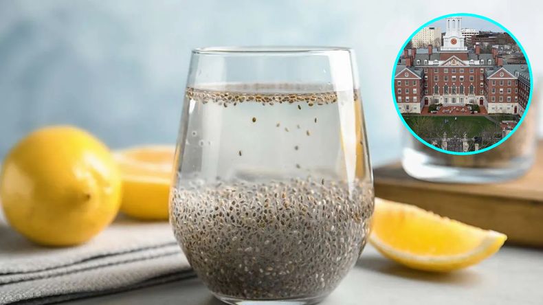 Los beneficios de tomar agua de chía con limón según un estudio de Harvard.