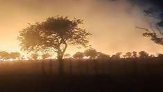 Nuevos incendios en La Pampa.