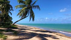 La experiencia en este rincón brasileño mezcla el relax absoluto con la posibilidad de explorar un entorno natural privilegiado. La experiencia en este rincón brasileño mezcla el relax absoluto con la posibilidad de explorar un entorno natural privilegiado.