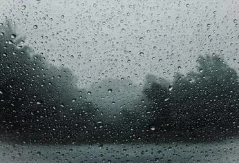 Se espera un día húmedo y algo fresco, con probabilidad de precipitaciones por la noche.