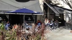 Su propuesta culinaria llevó a este lugar a convertirse en un referente para aquellos que buscan satisfacer su apetito. Su propuesta culinaria llevó a este lugar a convertirse en un referente para aquellos que buscan satisfacer su apetito.